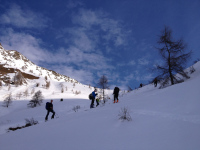 Appena fuori dal bosco