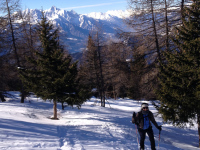 In uscita dal bosco