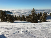 Carpet of clouds